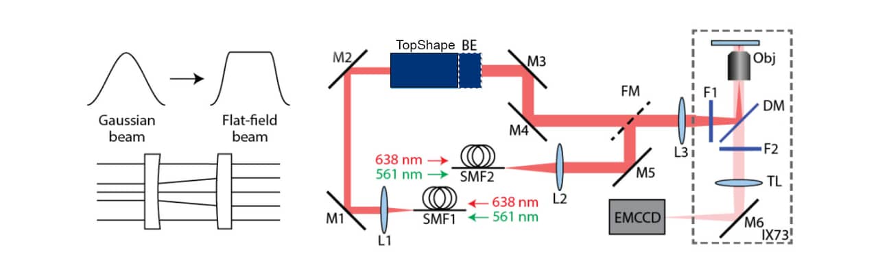 Figure 3: (a) Beam shaping schematic. (b) Experimental setup. FFI was expanded 1.5x by using the 
        BeamExpander behind the TopShape to provide a full FOV illumination to the sample. © CREOL