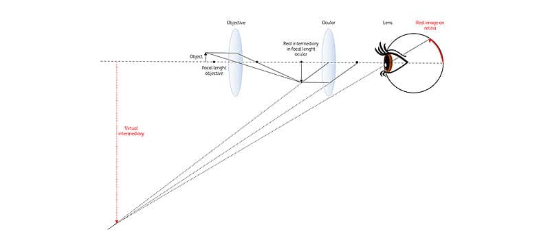 Figure 1: Structure and function of a microscope